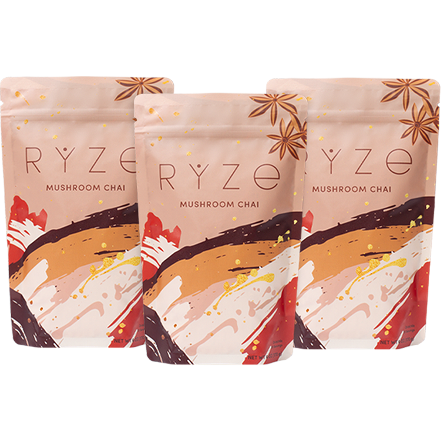 Mushroom Chai (3 Month Upgrade)