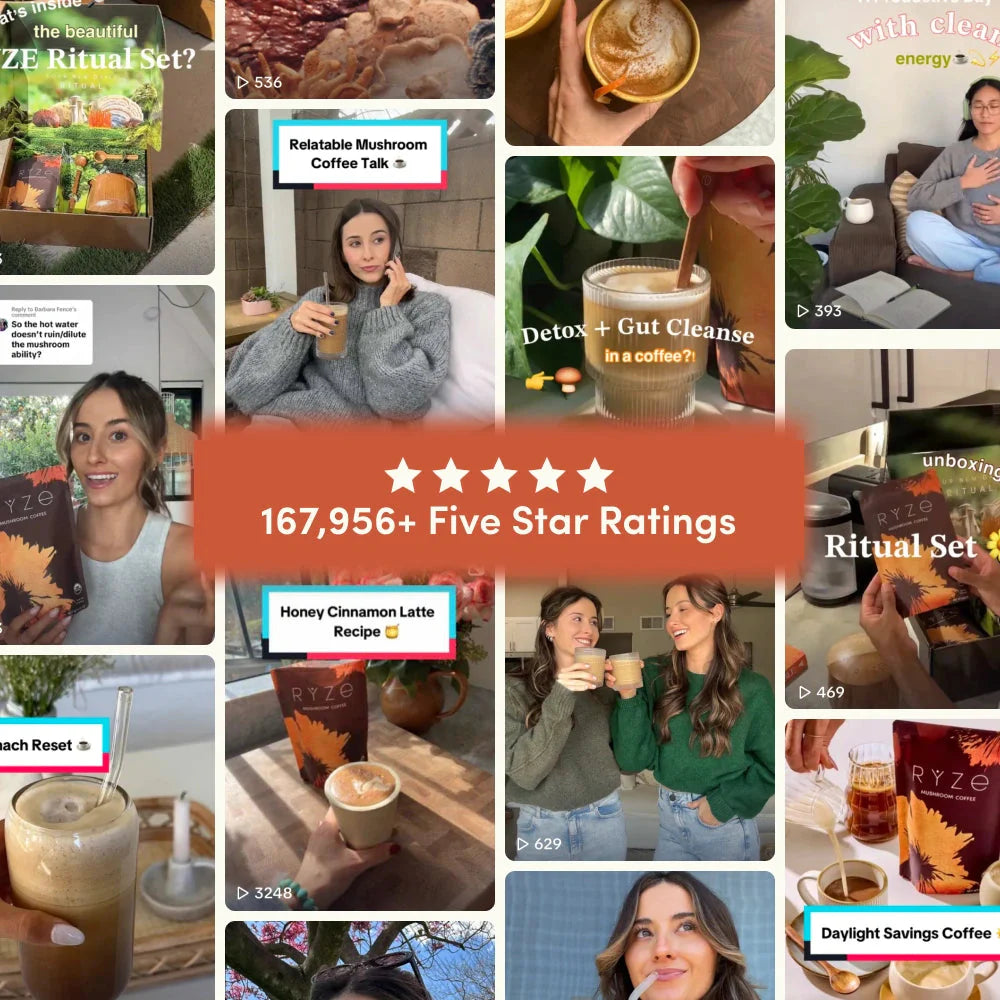 Mushroom Coffee Bold (30 Servings)